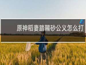 原神稻妻踏鞴砂公义怎么打