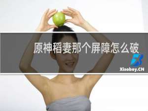 原神稻妻那个屏障怎么破