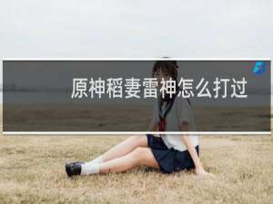 原神稻妻雷神怎么打过
