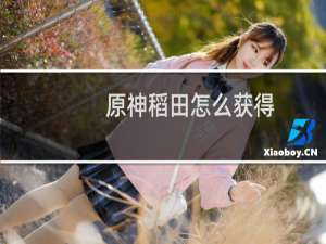 原神稻田怎么获得