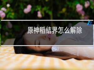 原神稻结界怎么解除