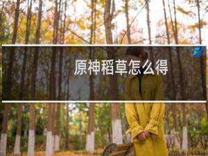 原神稻草怎么得