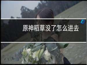 原神稻草没了怎么进去