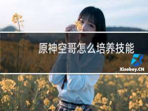 原神空哥怎么培养技能
