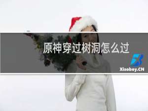 原神穿过树洞怎么过