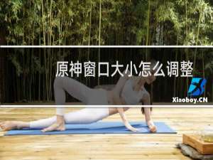 原神窗口大小怎么调整