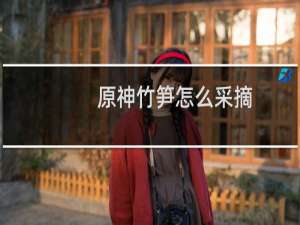 原神竹笋怎么采摘