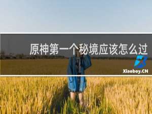 原神第一个秘境应该怎么过