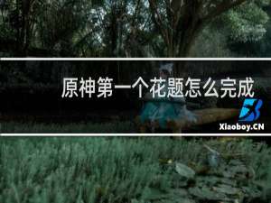 原神第一个花题怎么完成