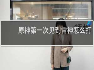 原神第一次见到雷神怎么打