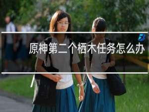 原神第二个栖木任务怎么办