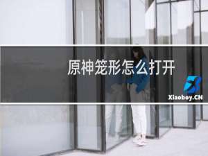 原神笼形怎么打开