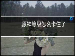 原神等级怎么卡住了