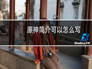 原神简介可以怎么写