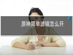 原神简单滤镜怎么开