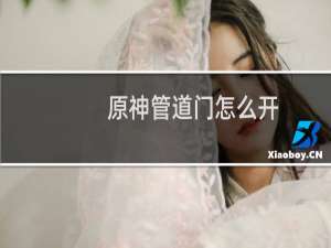 原神管道门怎么开