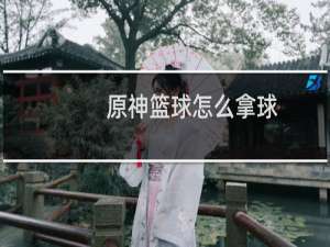 原神篮球怎么拿球