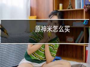 原神米怎么买