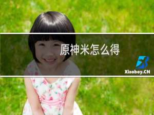原神米怎么得