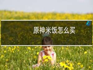 原神米饭怎么买