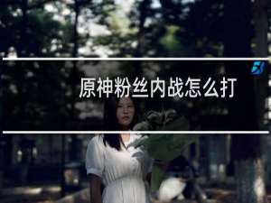 原神粉丝内战怎么打