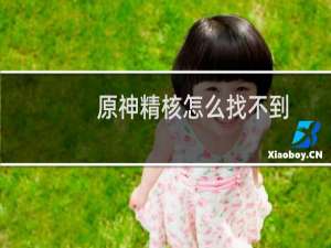 原神精核怎么找不到