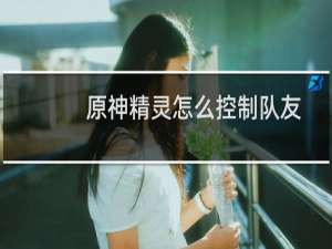 原神精灵怎么控制队友