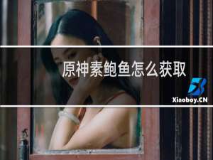 原神素鲍鱼怎么获取