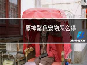 原神紫色宠物怎么得