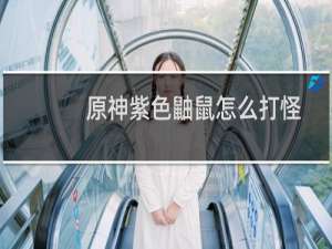 原神紫色鼬鼠怎么打怪