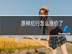 原神纪行怎么涨价了