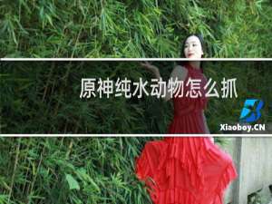 原神纯水动物怎么抓