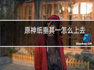 原神纸垂其一怎么上去
