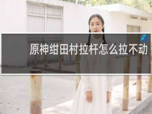 原神绀田村拉杆怎么拉不动