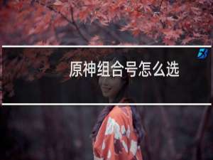 原神组合号怎么选
