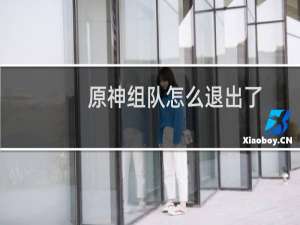 原神组队怎么退出了