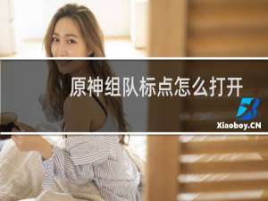 原神组队标点怎么打开