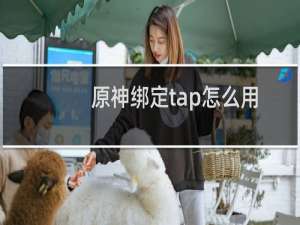 原神绑定tap怎么用