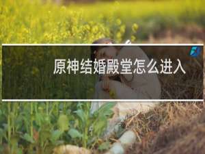 原神结婚殿堂怎么进入