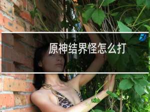 原神结界怪怎么打