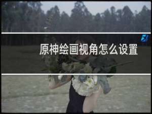 原神绘画视角怎么设置