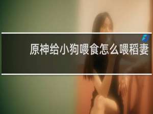 原神给小狗喂食怎么喂稻妻
