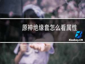 原神绝缘套怎么看属性