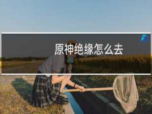 原神绝缘怎么去