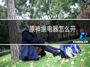 原神继电器怎么开
