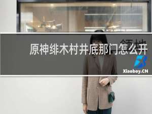原神绯木村井底那门怎么开