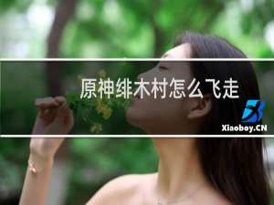 原神绯木村怎么飞走