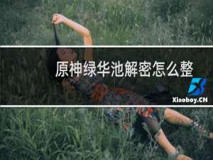 原神绿华池解密怎么整