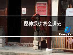 原神绿树怎么进去