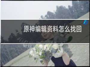 原神编辑资料怎么找回